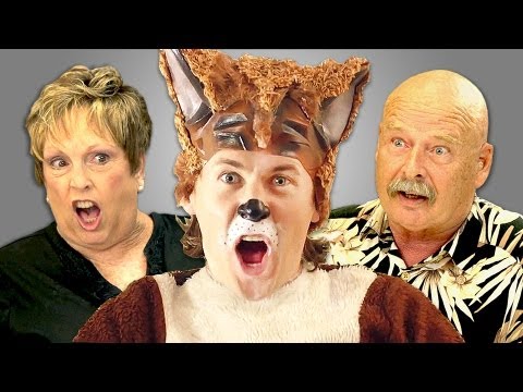ELDERS REACT TO YLVIS - THE FOX