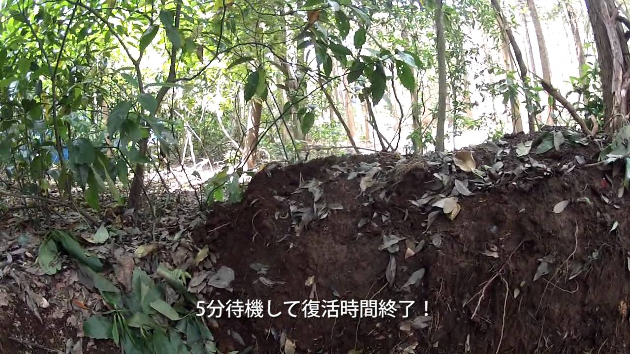 サバゲーをFPS風に撮ってみた 2012.05.27 BEAM FPS Airsoft フラッグ戦2