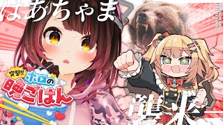 【襲来/カメラ枠】はぁちゃまがボクの晩御飯食べにクマ持って来たあああああ！！？？ 【ホロライブ / ロボ子さん・はぁちゃま】