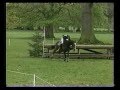 Cornbury park horse trials 1993