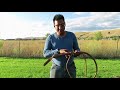 $37 Bullwhip from Amazon? The Original BWR (8/26/2019)