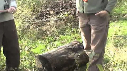 Forest Monitoring 7 - Canopy Cover, Coarse Woody Debris, Tree Diameter, and Special Features