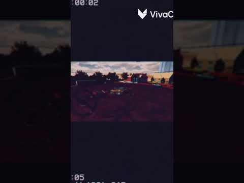 شممه أي من الالماني