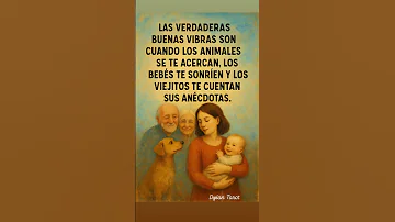 Music Audio Automobile Song Tarot 80smusic Lecturacartas Musicsong Taromancia Amor 
