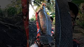 Full Video In First Comment.. Fishing Videos Traditional Fishing Village Fishing Tranding