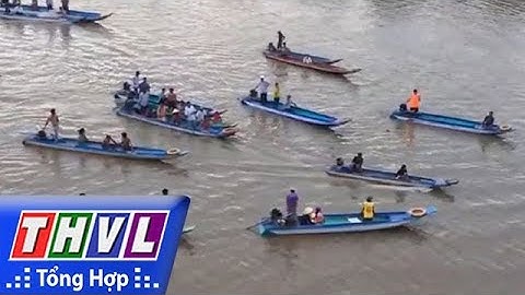 THVL | Người đưa tin 24G: Xuất hiện cá heo "khủng" ở Cà Mau