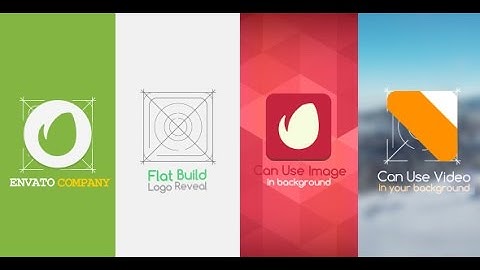 Flat Build Logo Reveal After Effects Template