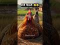 हैप्पी दिवाली 😂😂 #funny #shilpisaroja #comedy #thetharpuns #shortsvideo #shorts