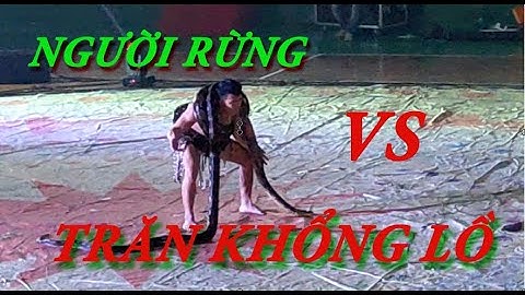 Người rừng chiến đấu cùng trăn khổng lồ /Tarzan vs giant python