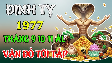 Tử Vi Tháng 9 – 10 – 11 Âm 2025 Tuổi Đinh Tỵ 1977 | Vinh Hoa Phú Quý, May Mắn Bất Ngờ