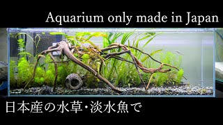 aqua scape  90×20×30 日淡水槽　【アクアリウム】