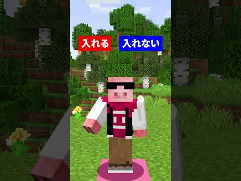 いれる？いれない？ #マイクラ #shorts