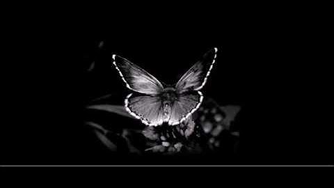 Tony Primo and Nixxie-The Hardest Thing To Do (Sonderzug Remix)✖✖