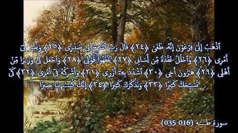 محاكاة الشيخ علي جابر رحمه الله بصوت الشيخ أبوبكر مومني - من  سورة طه و ق