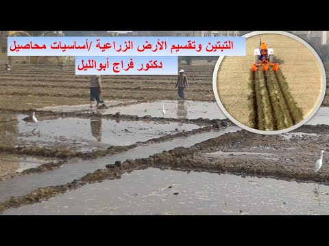 التبتين وتقسيم الأرض الزراعية أساسيات محاصيل 