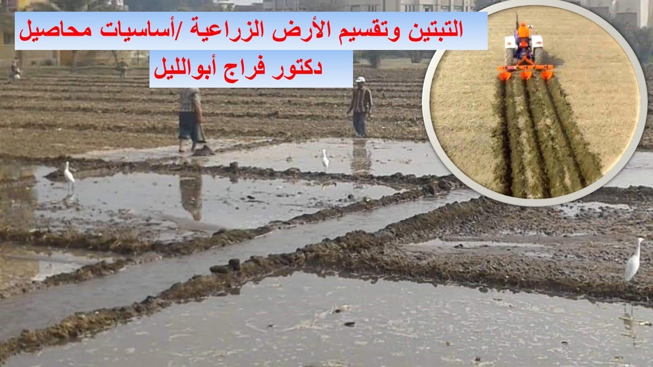 التبتين وتقسيم الأرض الزراعية / أساسيات محاصيل