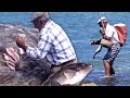 Pesca tradicional de la vieja. Técnica de la caña para obtener este pescado | Documental