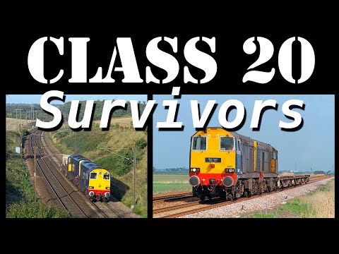 Class 20 Survivors 2014-2017
