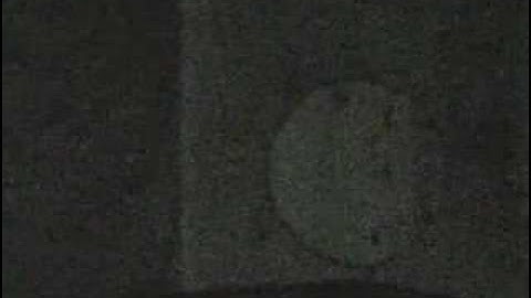 Barred Owl - Nov 4, 2am Monkey Call - Part1