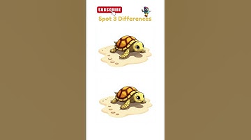 Find 3 Difference #465