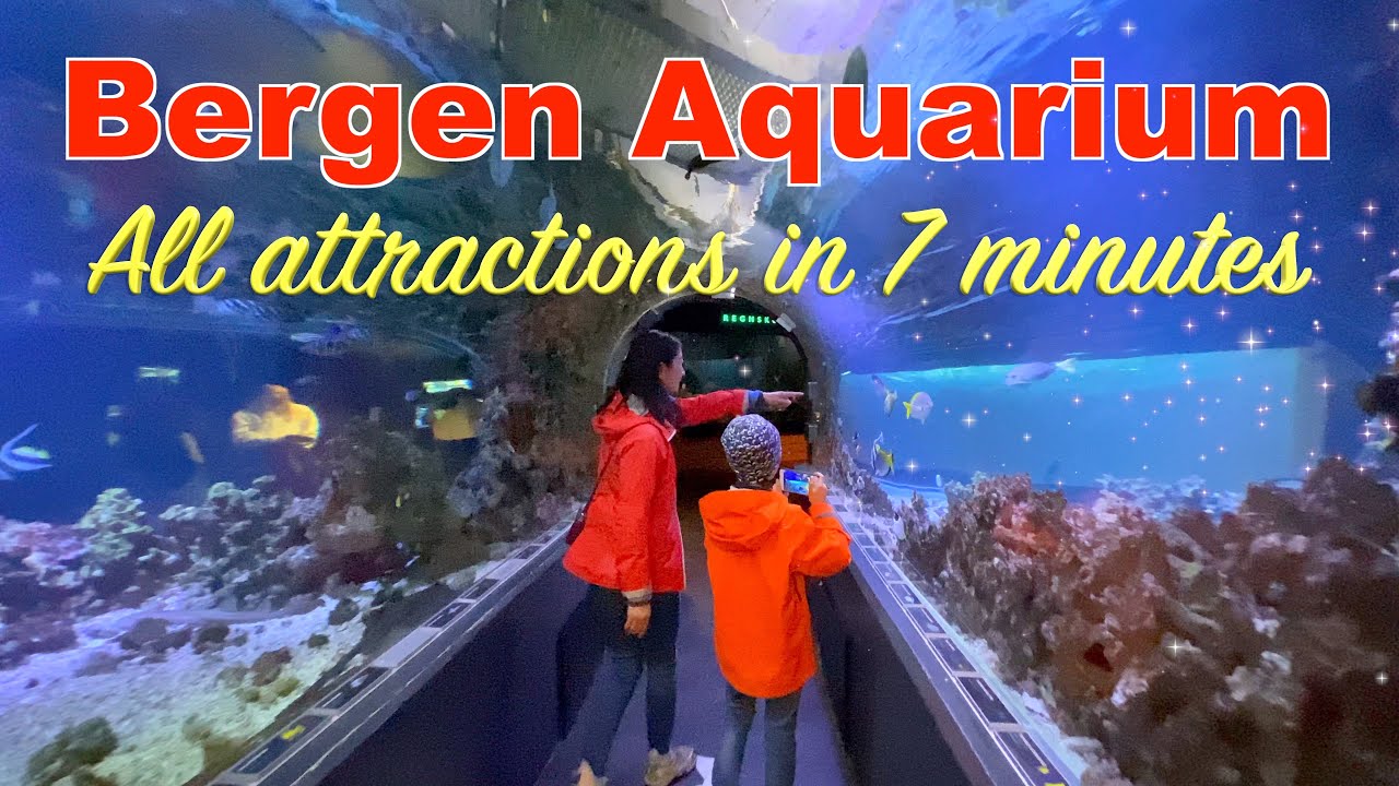 Bergen Aquarium - All Attractions in - YouTube