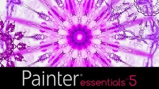 Painter Essentials 5 Kaleidoscope screenshot 4