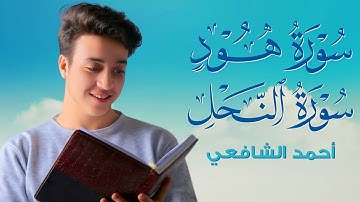 سورة هود و النحل || تلاوة بصوت القارئ أحمد الشافعي