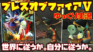 ゆっくり実況】ブレス オブ ファイアⅤ ドラゴンクォーター