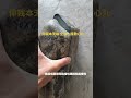 翡翠直播 | 500塊錢買塊翡翠原石回家開窗暴漲500萬，那麼要是切開能漲1000萬嗎？評論區說說為啥不切開？ #翡翠 #珠寶 #翡翠直播 #珠寶首飾 #jade #戒指