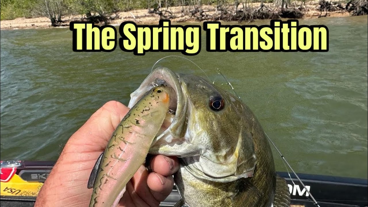 Top Techniques For The Spring Bass Fishing Transition During April…