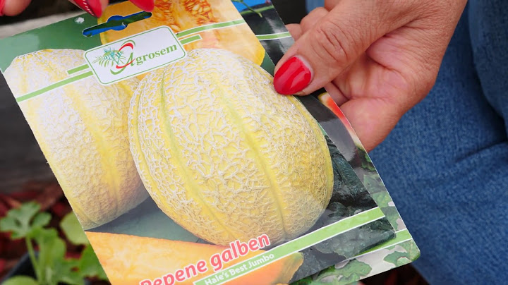 Cum cultivam pepenele galben si pepenele verde