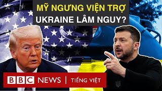 BBC News Tiếng Việt