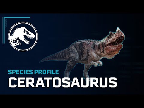Video: Hvor finnes ceratosaurus?