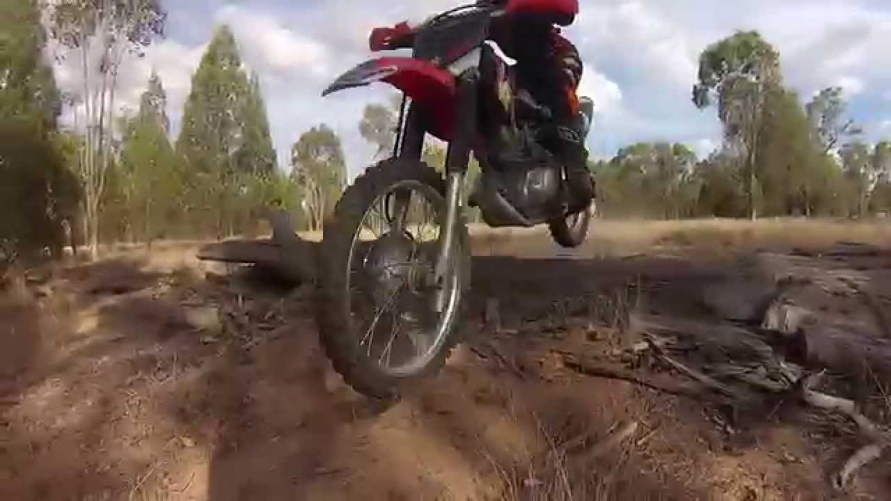 farm ride chinchilla YouTube