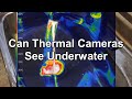 Can Thermal Cameras See Underwater - ThermalGuy