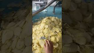 Potato chip and potato chip processing and manufacturing equipment#potatochipsmachine #potatochips