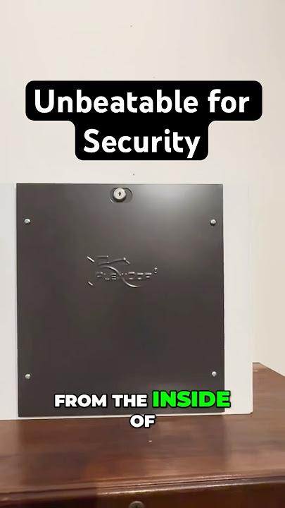 The Dog Door That Protects Your Home Too! #PlexiDor #DogDoor #HomeSecurity #PetSafety #Shorts