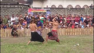 Peresean Lombok: Kekuatan Adat dan Aksi Penuh Keberanian! Kelau Bangkok Vs Sinar Panji