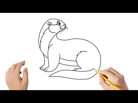 Vídeo: Com Dibuixar Una Marmota