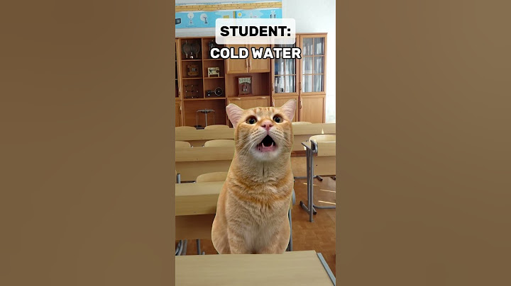 Does Anyone Know? 👀🤔 | Cat Memes