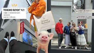 видео: ТОКИО! минипиг кафе, шопинг, еда из 7 Eleven, прогулки / часть 1 картинка: ТОКИО! минипиг кафе, шопинг, еда из 7 Eleven, прогулки / часть 1