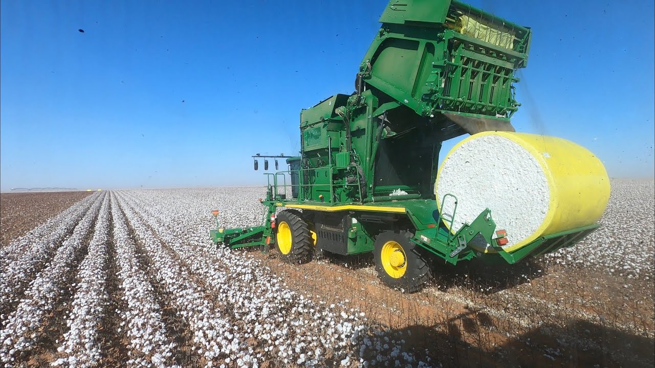 Let’s go harvest some cotton
