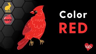 Learn About the Color RED! CVI Friendly Special Education for Kids