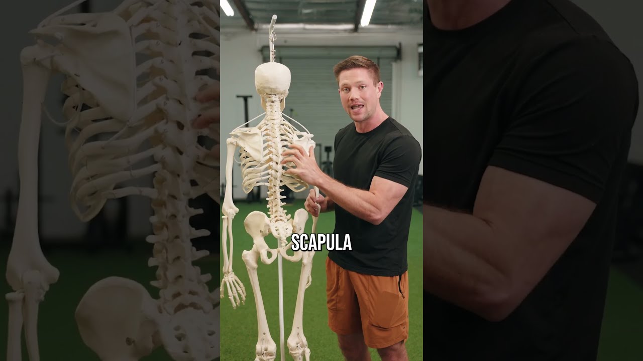 How To Actually Fix Tight Upper Traps