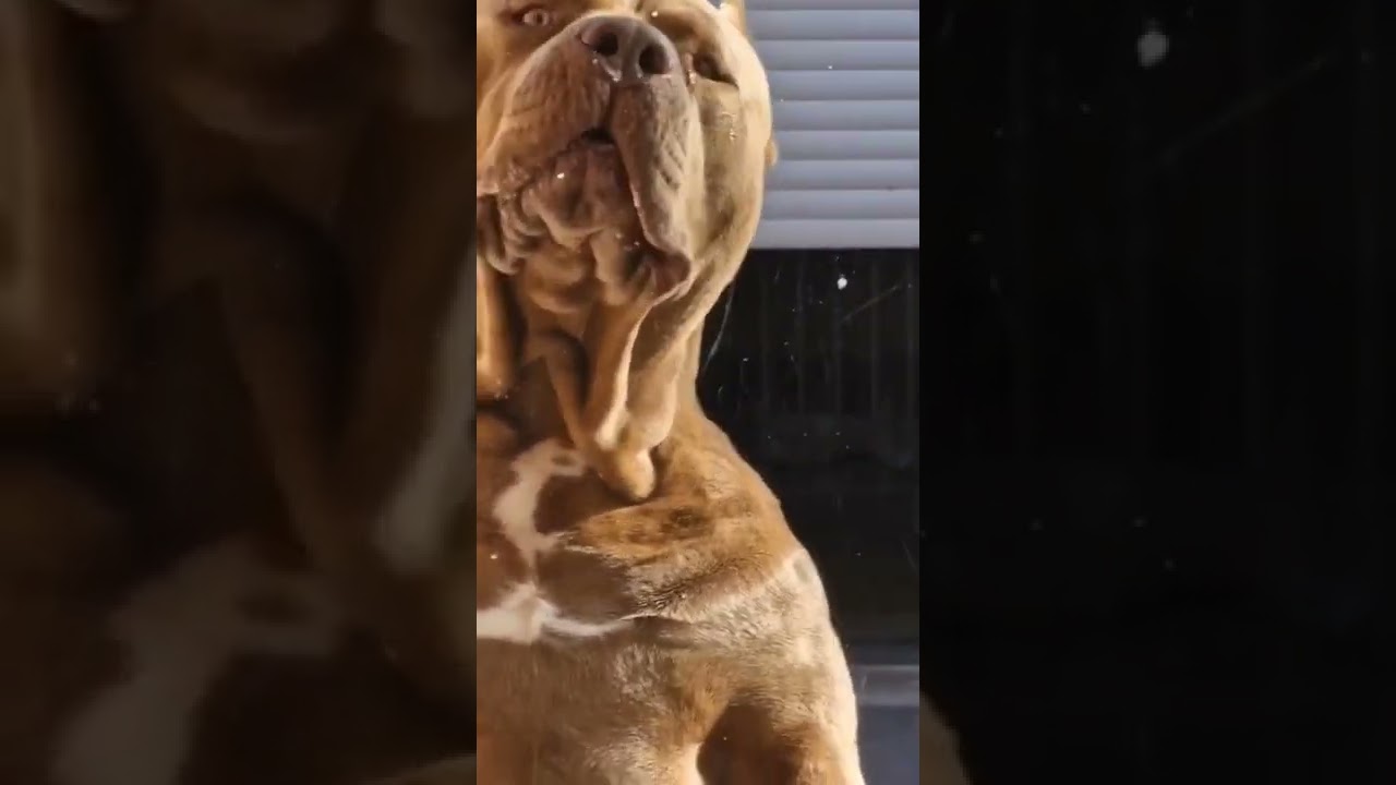 Muscle Flex♥️💪🏿