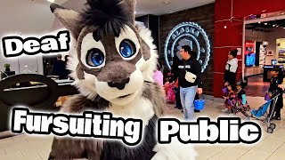 Silent Fursuiting Fun in Busy Mall