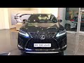 РЕСТАЙЛИНГ LEXUS RX300 AWD 2020. КОМПЛЕКТАЦИЯ F-SPORT 4K