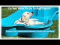 Do You Want To Go To Ruff Ranch?
