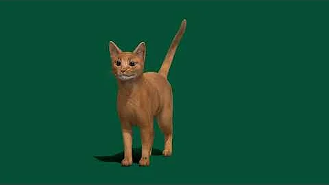 Watch the video about Abyssinian Ginger Cat Animal 3D Model