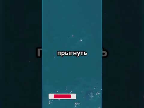 Ты один в лодке посреди океана. Что выберешь? #Выбор #Интерактив #Shorts #Выживание #shortvideo
